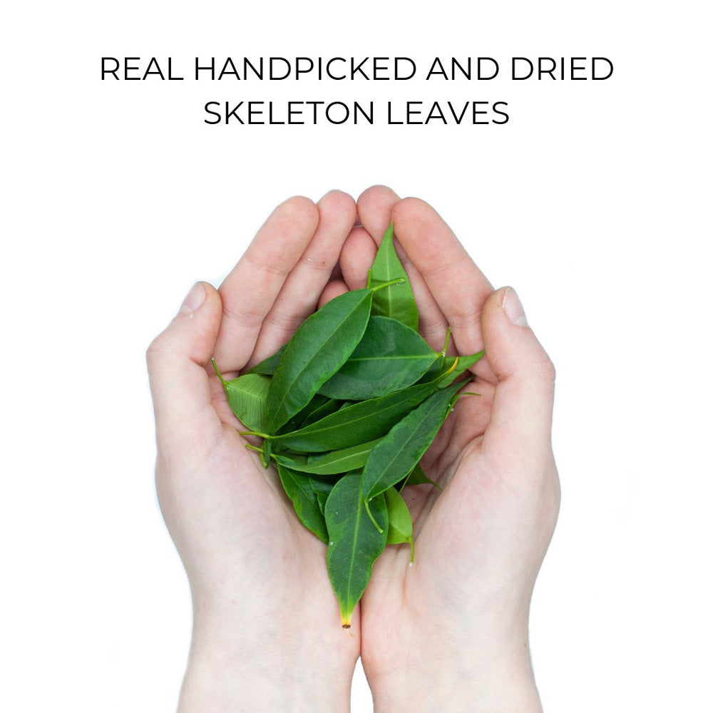 Organic Case - Skeleton Leaves-1