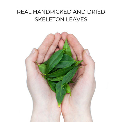 Organic Case - Skeleton Leaves-1